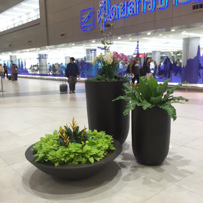 ท่าอากาศยานดอนเมือง 2 กระถางปูนคอนกรีตเสริมเหล็ก ทรงโอเวิล ทาสี กระถางปูนคอนกรีตเสริมเหล็ก ทรงแคปซูล ทาสี กระถางปูนคอนกรีตเสริมเหล็ก ทรงจานบิน ทาสี