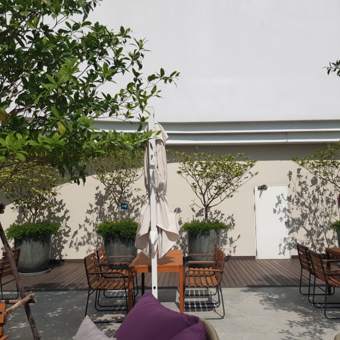 5 เคล็ดลับอัปเกรดแบรนด์โรงแรม รีสอร์ท ด้วยกระถางดีไซน์ (Hospitality Landscaping) 14 กระถางปูนหินขัด ทรงแคปซูล หินขัดเทา