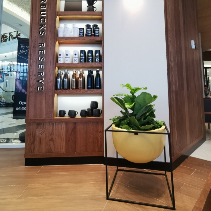 สตาร์บัคส์ 5 กระถางไฟเบอร์กลาส รุ่นฮาล์ฟมูนแสตนด์