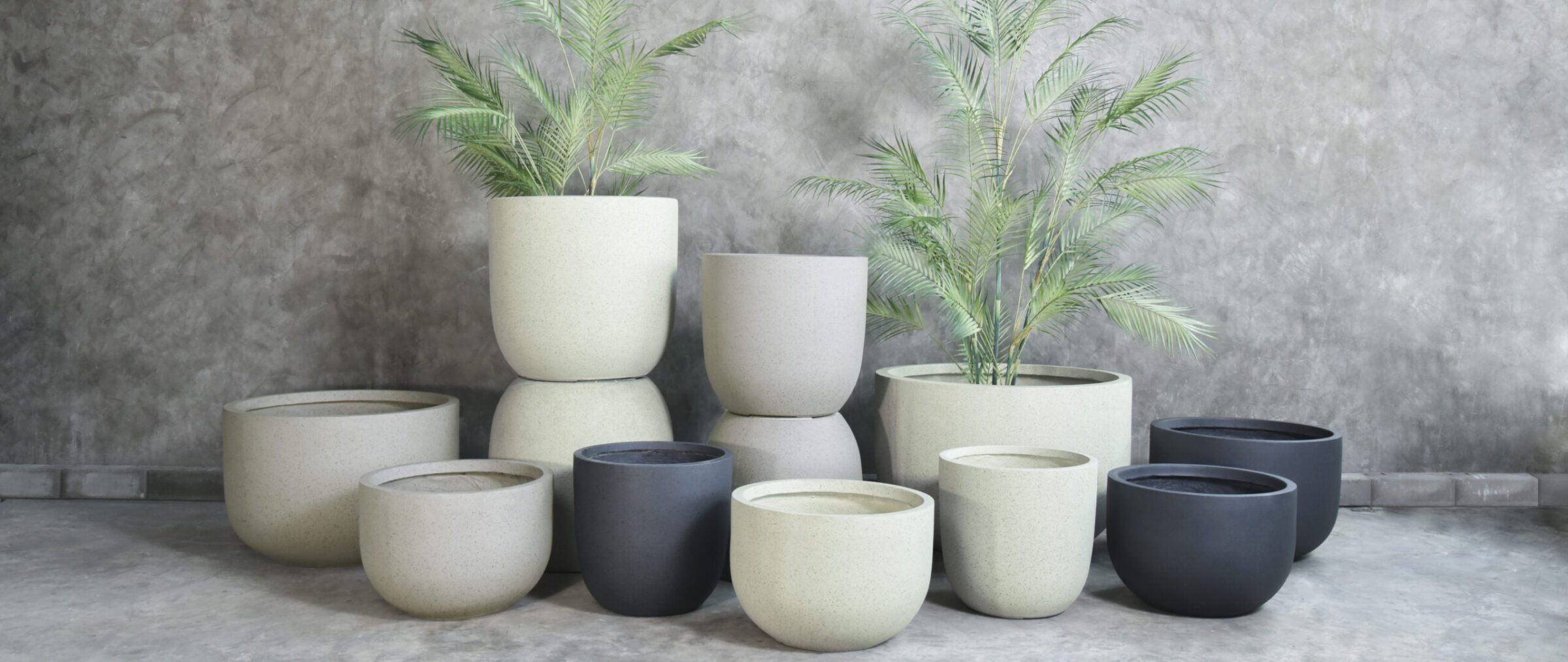 ipot 002 56 scaled e1744974244153