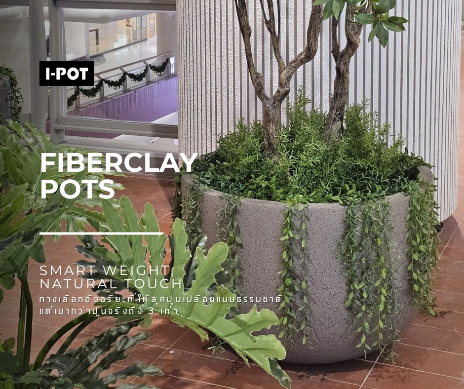 กระถาง fiberclay ผิวสัมผัสเหมือนปูน แต่เบากว่า 3 เท่า