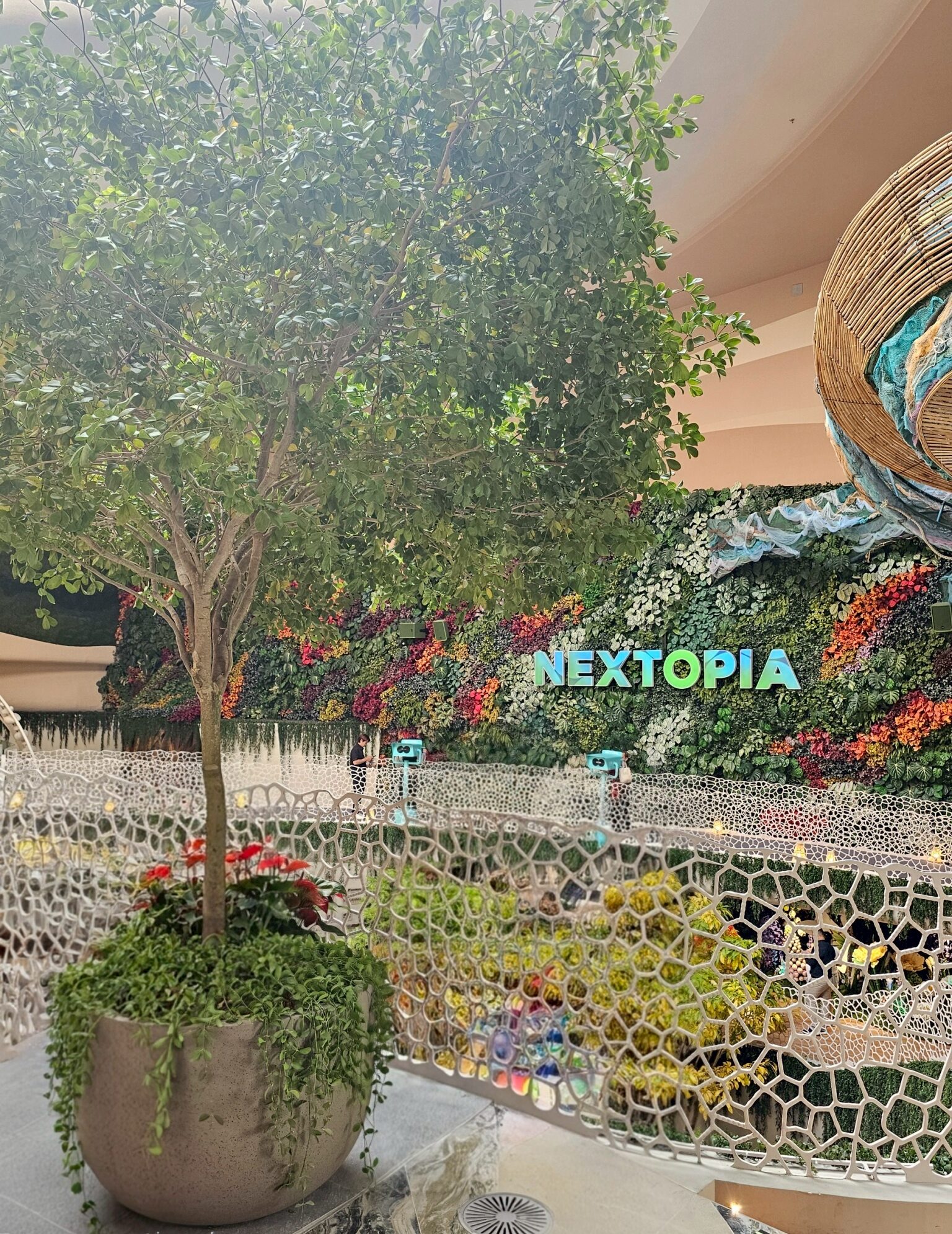 I POT Fiberclay NEXTOPIA PARAGON 251222 5 e1771485397593