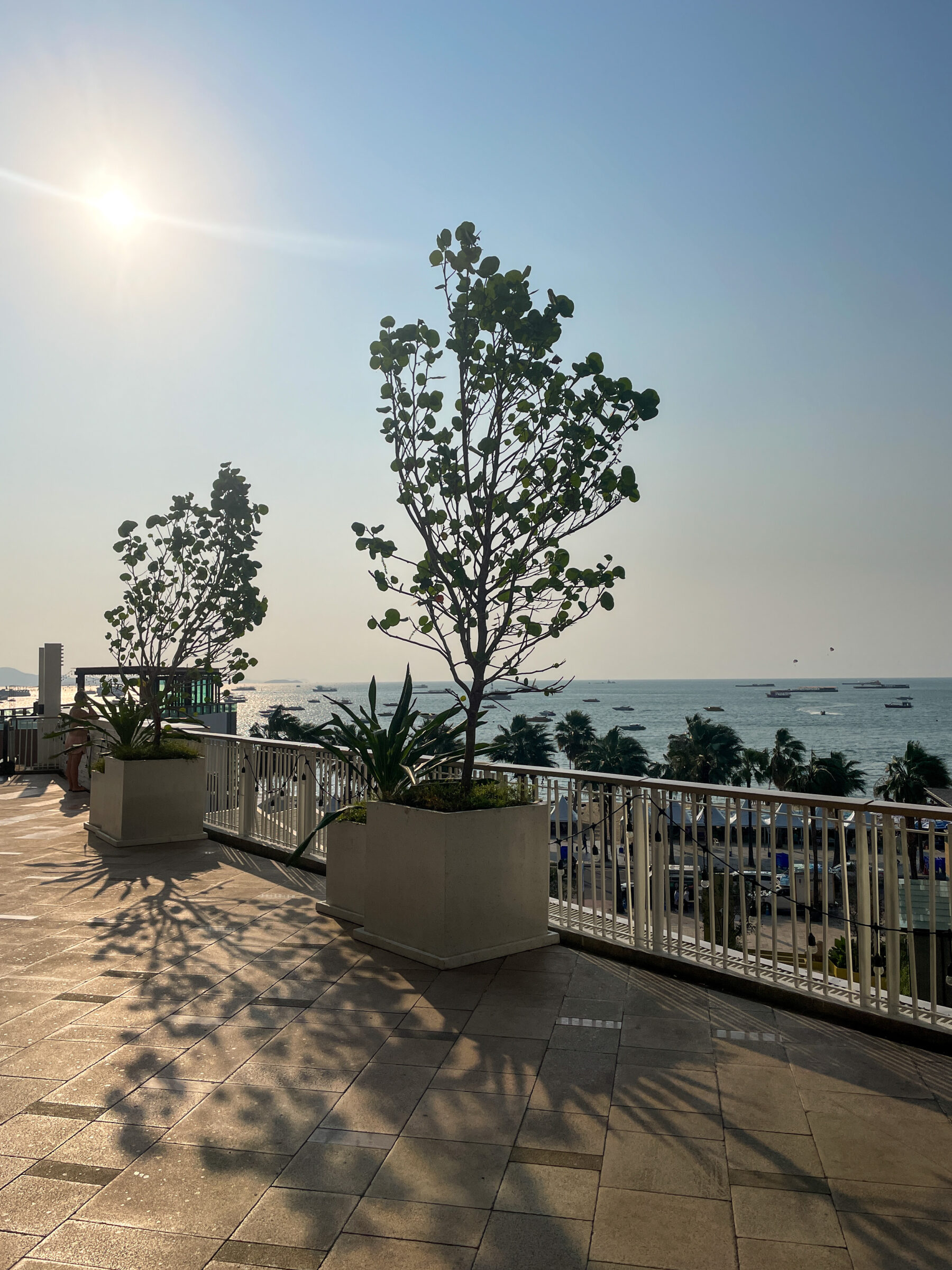 กระถางปูนซีเมนต์ หน้าห้าง Cental Pattaya