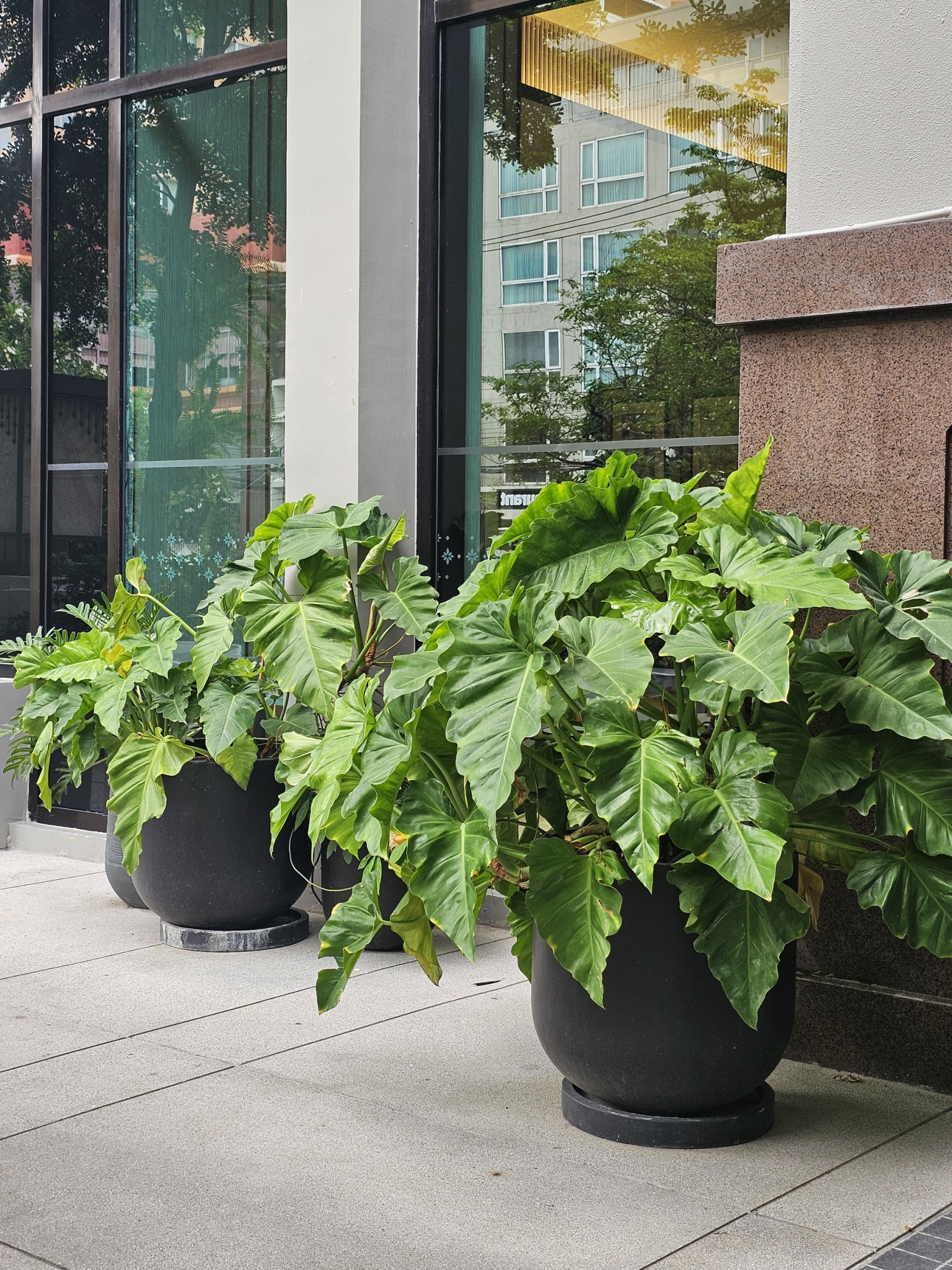 LINE ALBUM Chiang Mai Marriott Hotel 250711 5