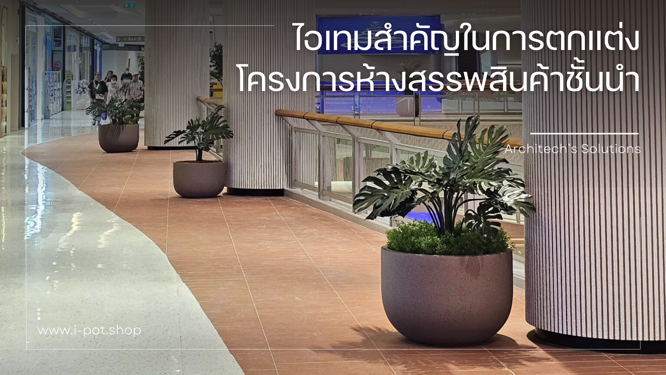 Wide Capsule – Granito: เบื้องหลังงานดีไซน์ที่ห้างสรรพสินค้าชั้นนำเลือกใช้