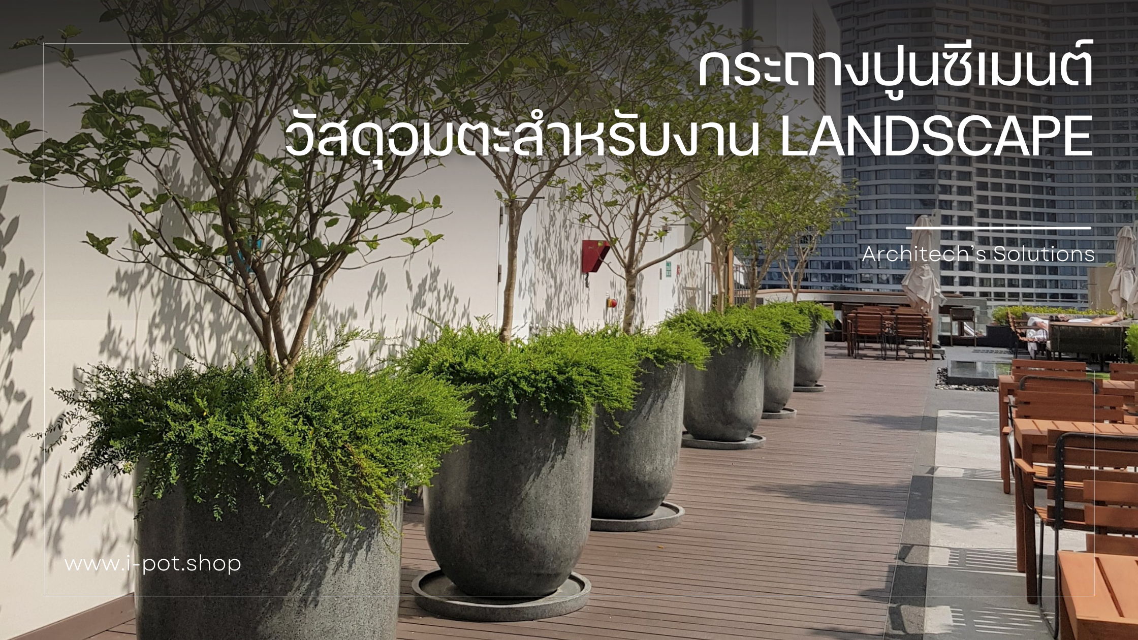 ที่สุดของความอมตะ: ทำไมกระถางปูนคือตัวเลือกอันดับ 1 ตลอดกาลสำหรับงาน Landscape