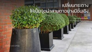 แนวคิดการจัดวางกระถางต้นไม้ในงานสถาปัตยกรรมเพื่อให้เกิดจุดนำสายตา