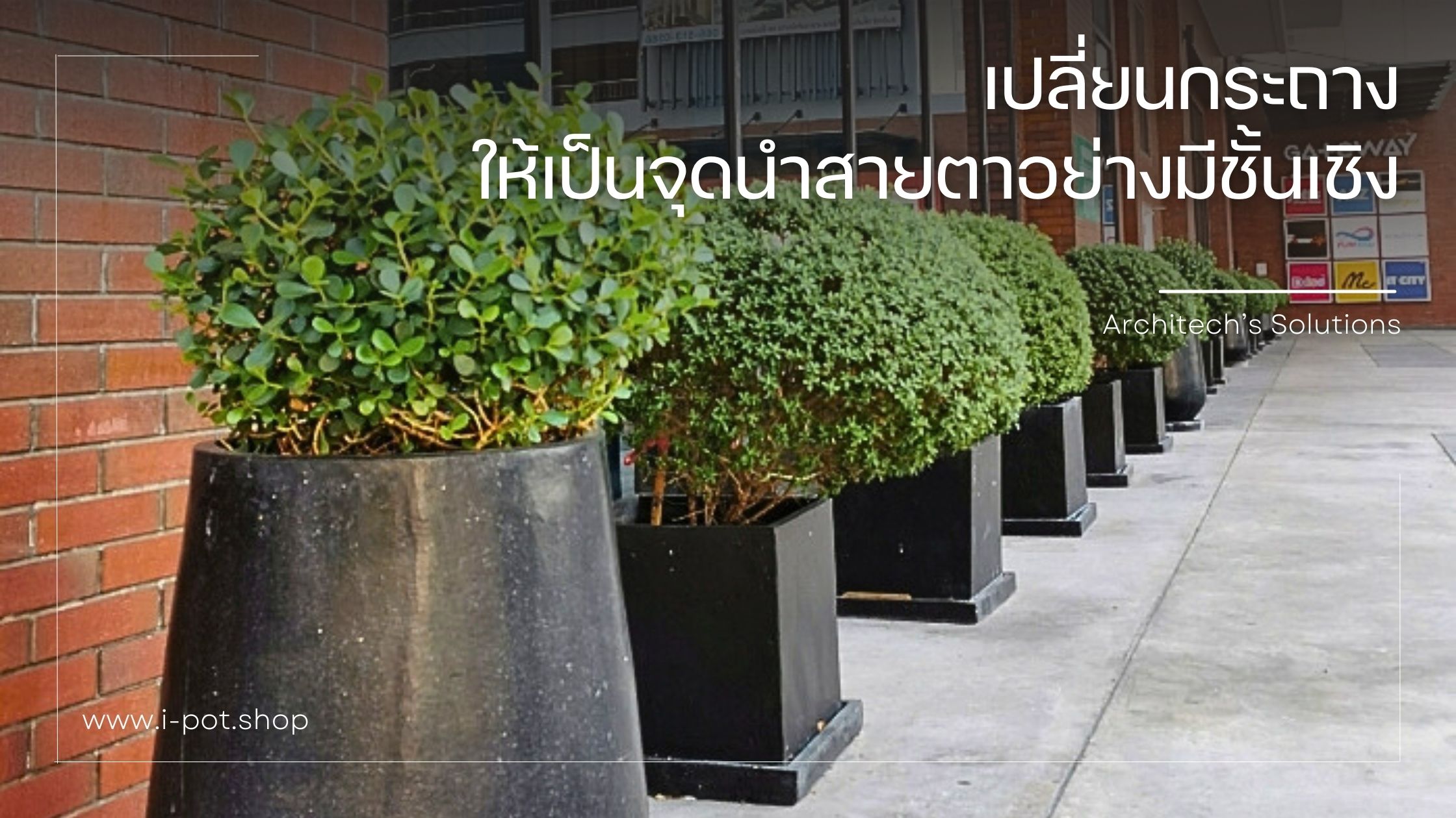 แนวคิดการจัดวางกระถางต้นไม้ในงานสถาปัตยกรรมเพื่อให้เกิดจุดนำสายตา