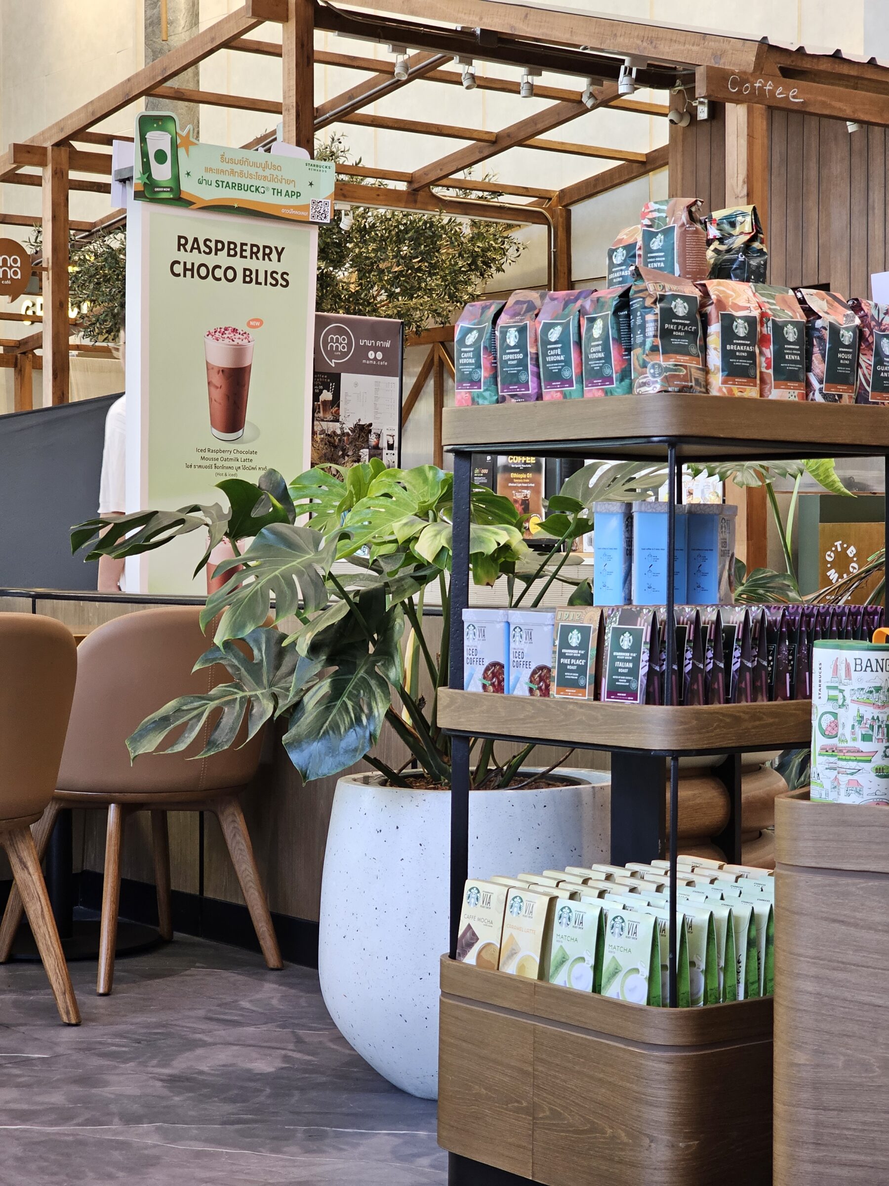 กระถางคอนกรีตหินขัด Palm white terrazzo black stone ตกแต่งร้าน Starbucks สาขา CentralWorld Offices