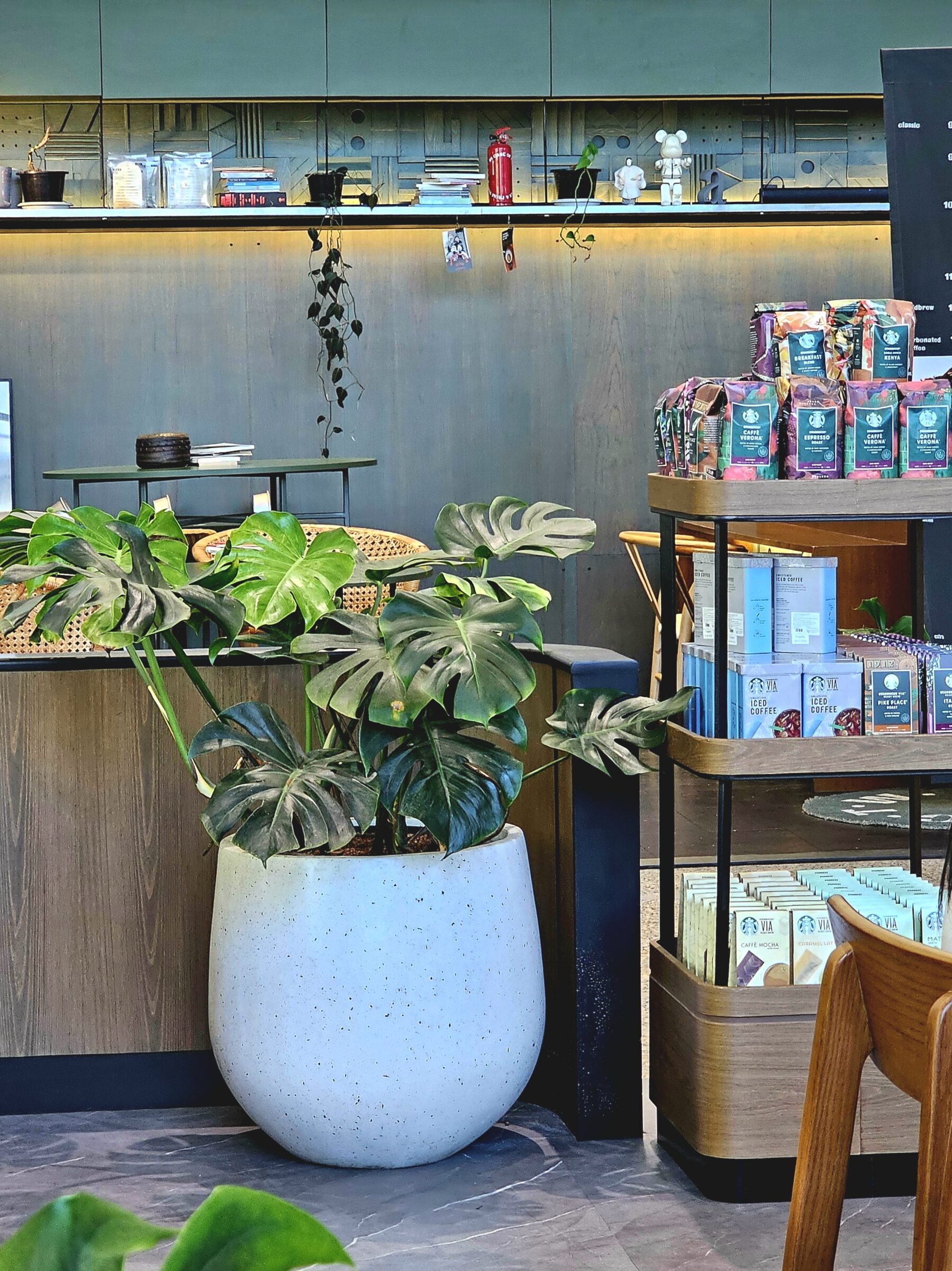 กระถางคอนกรีตหินขัด Palm white terrazzo black stone ตกแต่งร้าน Starbucks สาขา CentralWorld Offices