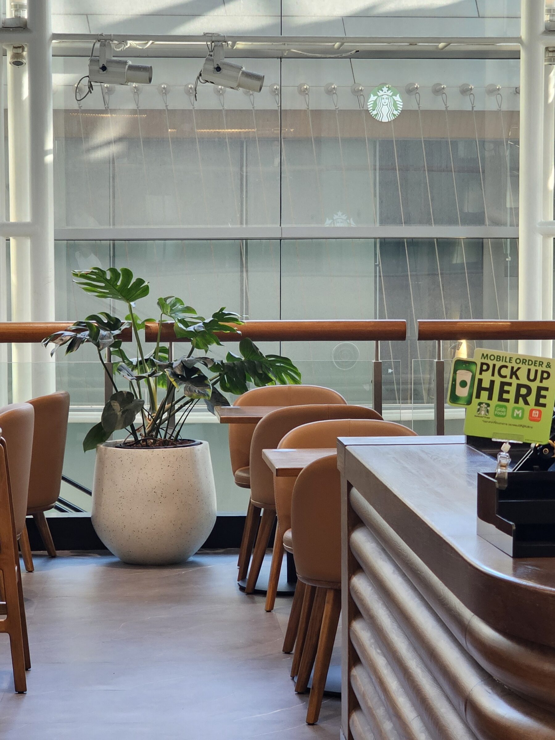 กระถางคอนกรีตหินขัด Palm white terrazzo black stone ตกแต่งร้าน Starbucks สาขา CentralWorld Offices