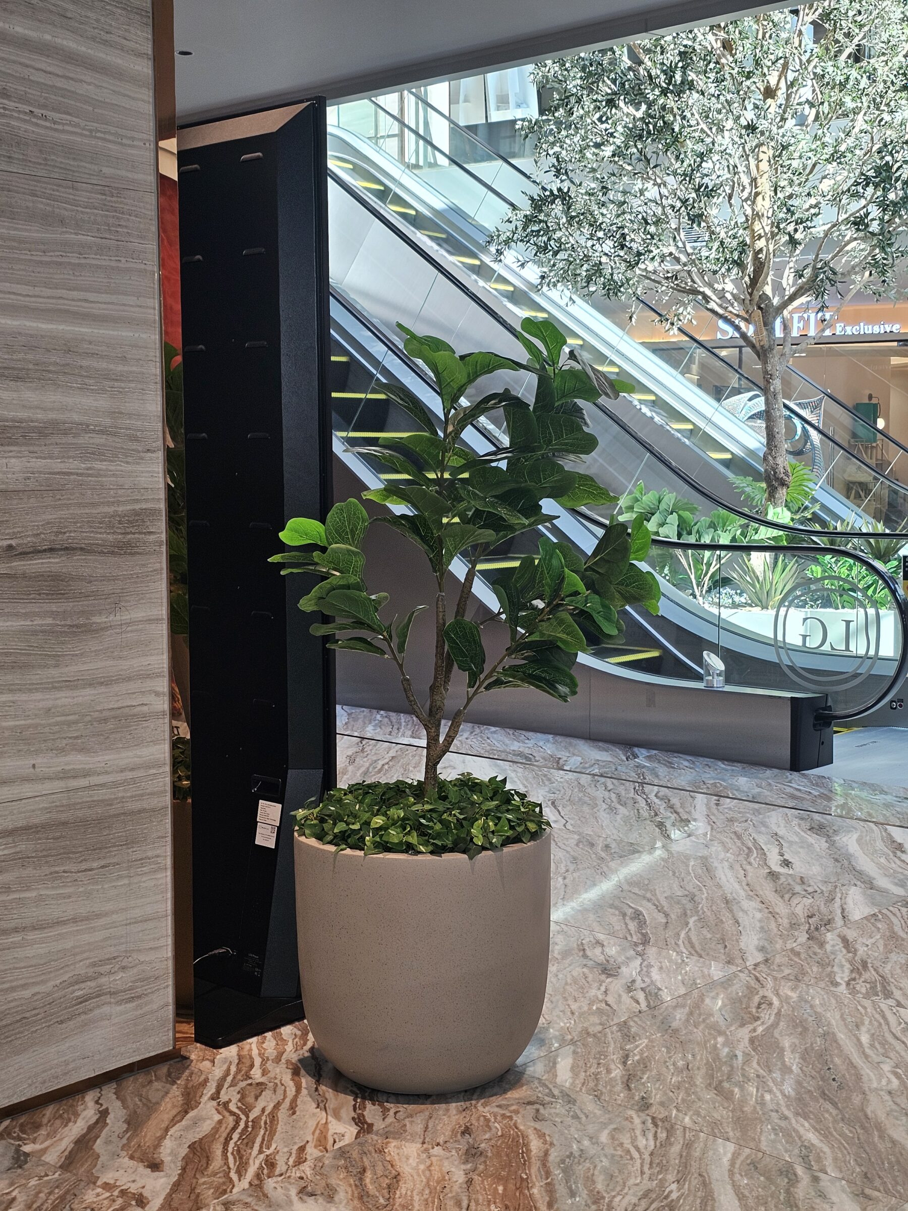 กระถาง Capsule granito fiberclay pots @โครงการ Supalai Icon Sathorn