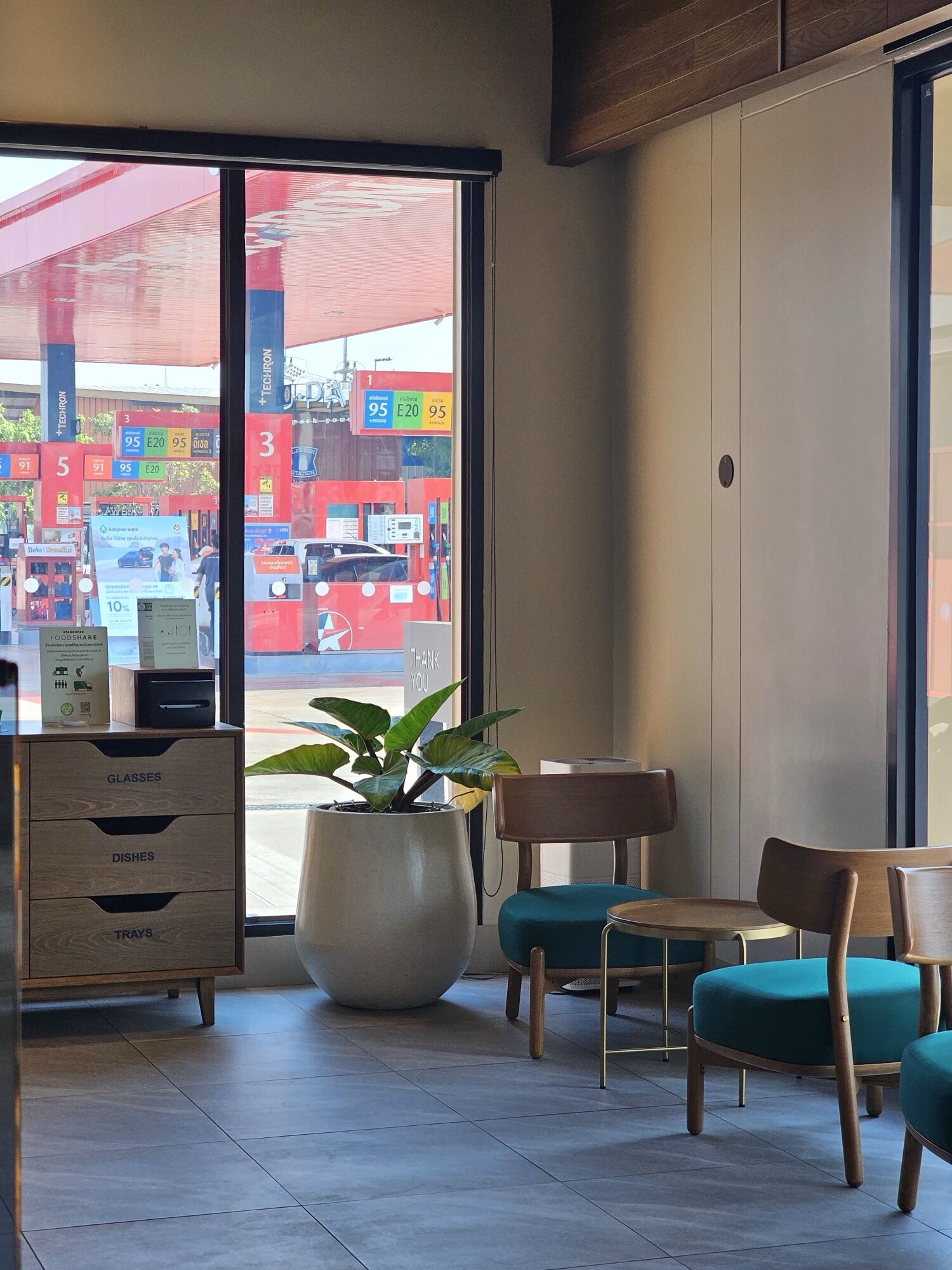 กระถางคอนกรีตหินขัด I-POT terrazzo ตกแต่งร้านร้านสตาร์บัคส์